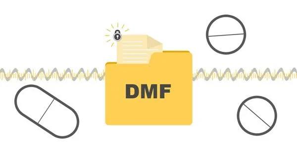 API 注册申报与 DMF 服务方案