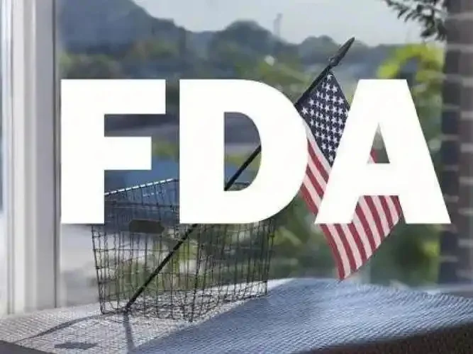 FDA迎检准备服务