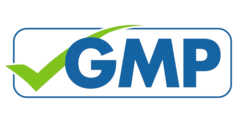 GMP 数据完整性审计重点内容解析